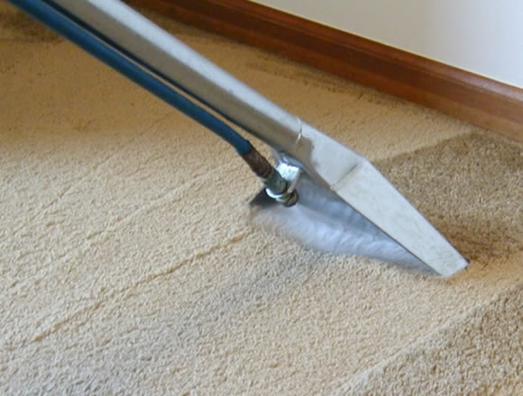 Tanin Carpet Cleaning Tanin Carpet Cleaning