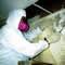 Tanin Mold Remediation