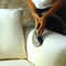 Tanin Sofa Cleaning