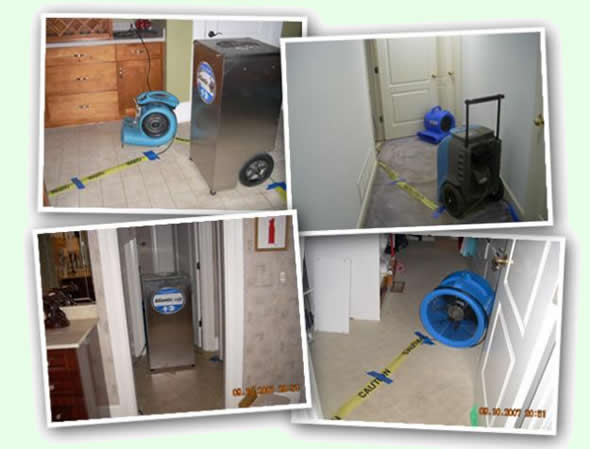 Tanin Flooded Basement Cleanup